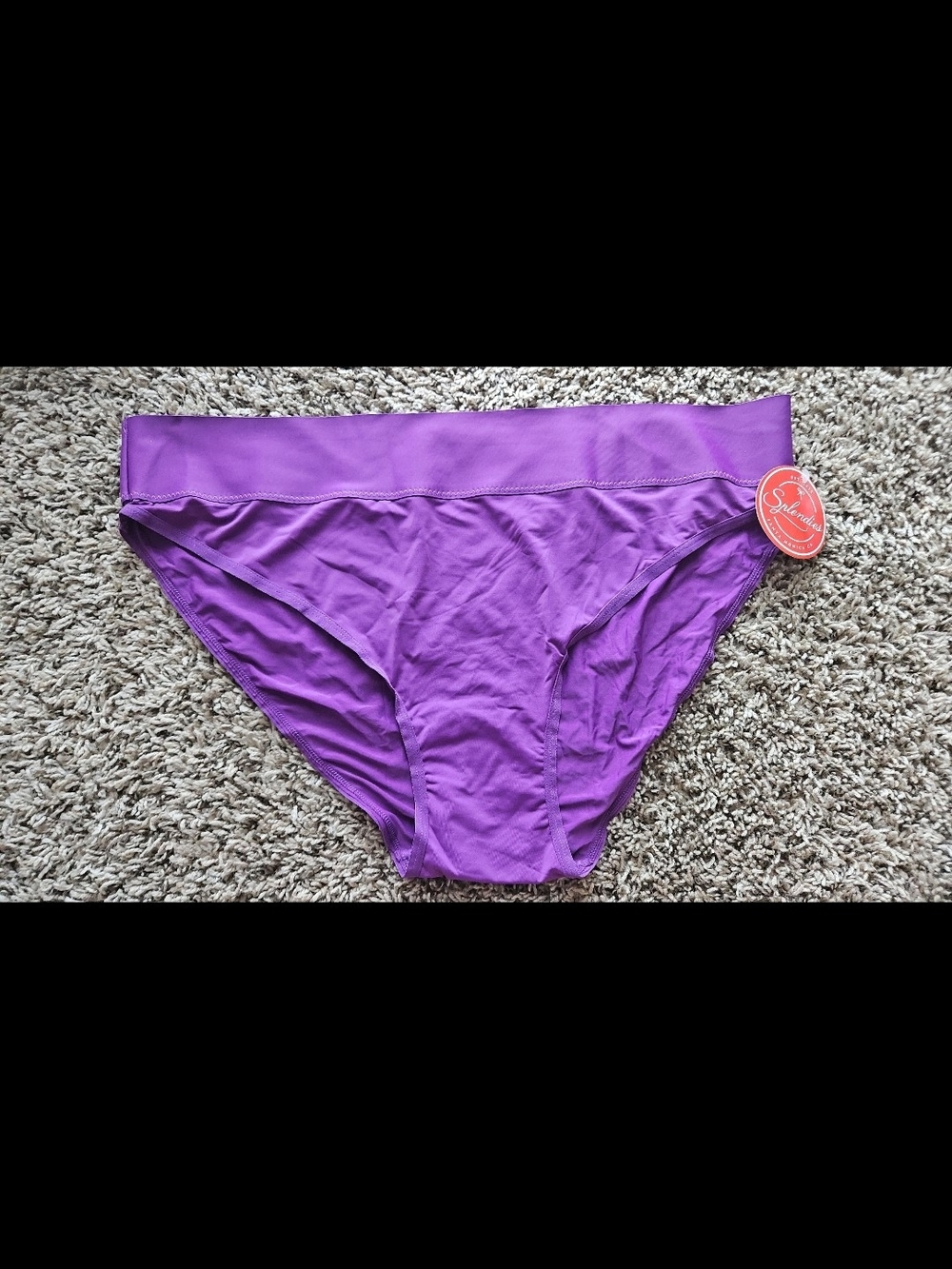 Splendies Purple Women’s Size 4x Bikini Panties